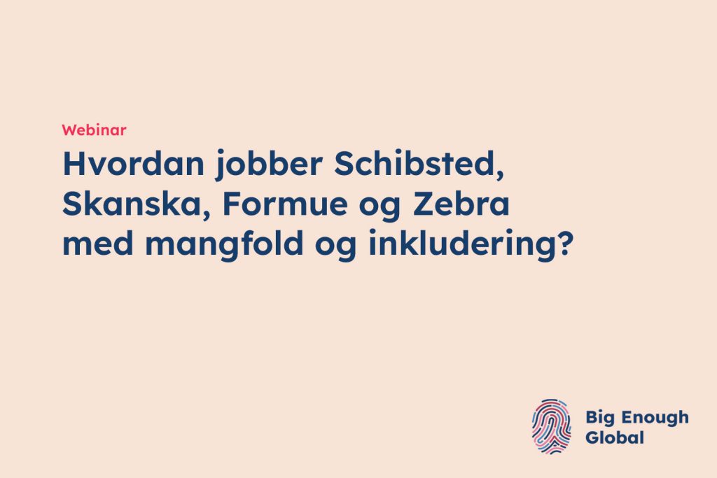 Hvordan jobber Schibsted, Skanska, Formue og Zebra med mangfold og inkludering?