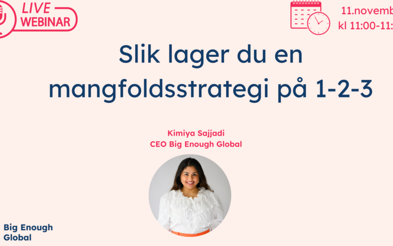 kimiya sajjadi, mangfoldsstrategi