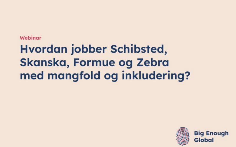 mangfold og inkludering